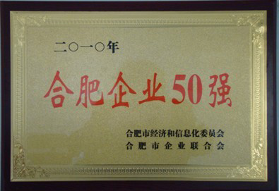 安起被評(píng)為合肥企業(yè)50強(qiáng)